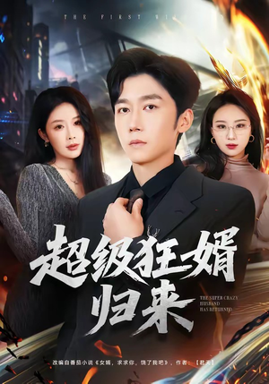 超级狂婿归来（81集）短剧全集更精彩