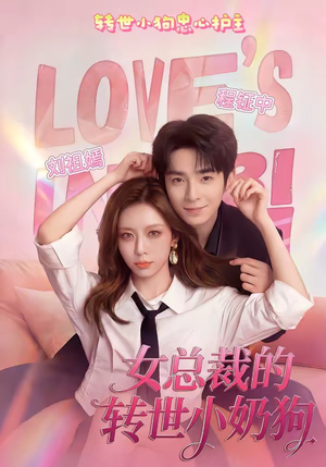 女总裁的转世小奶狗（30集）在线看