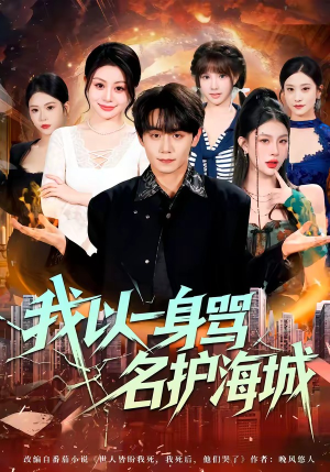 我以一身骂名护海城（79集）高分佳作免费看