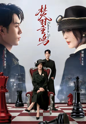 焚羽重鸣（60集）热门短剧抢先看