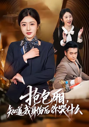 抢包厢，知道我身份后你哭什么（70集）热门短剧抢先看