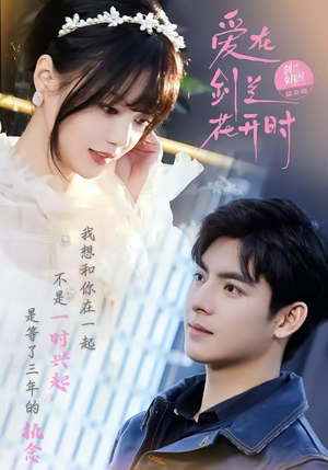 爱在剑兰花开时（56集）免费看短剧
