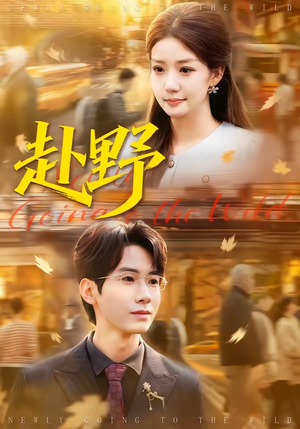 赴野（40集）在线看到大结局