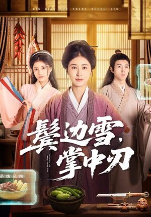 鬓边雪，掌中刃（60集）热门短剧追到爽