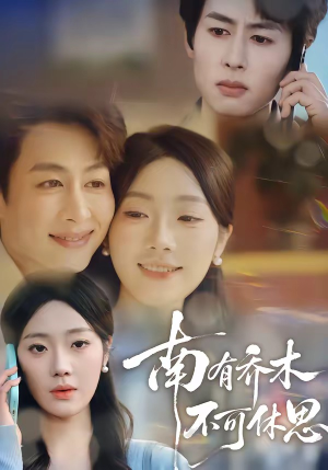 南有乔木，不可休思（68集）海量资源免费看