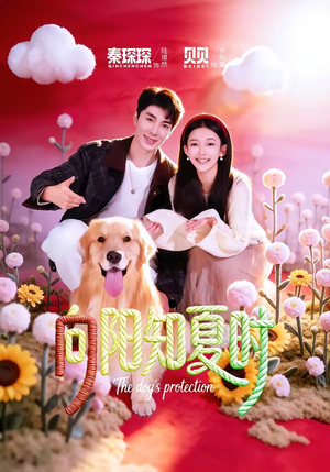 向阳知夏时（80集）一口气追完短剧