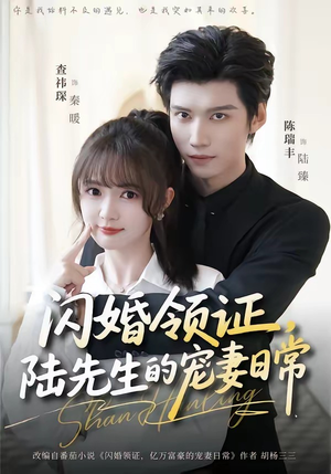 闪婚领证，陆先生的宠妻日常（86集）全集免费看短剧