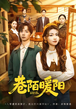 巷陌暖阳（80集）精彩短剧后续