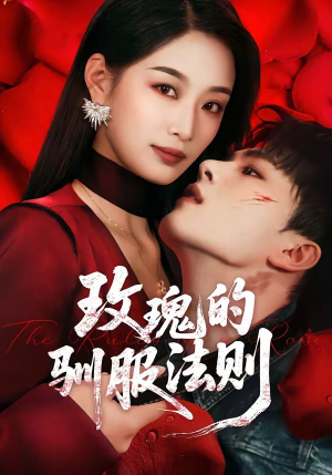 玫瑰的驯服法则（65集）全集