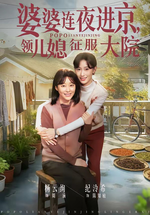 婆婆连夜进京，领儿媳征服大院（78集）短剧精彩不断