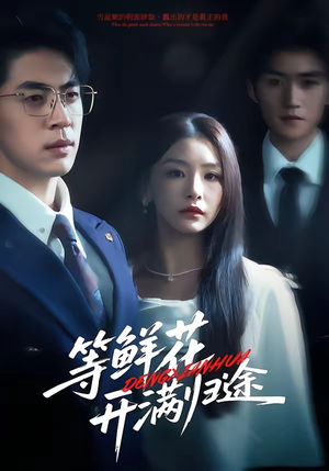 等鲜花开满归途（61集）短剧分享剧集