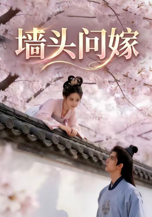 墙头问嫁（29集）热播短剧免费看