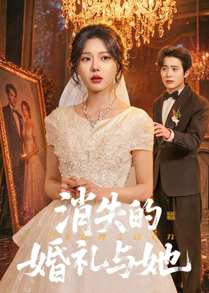 消失的婚礼与她（70集）第一季