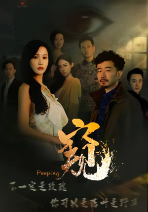 窥伺（37集）超甜短剧分享