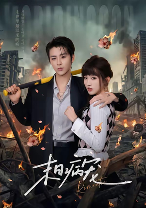 末日病宠（60集）追风的女孩短剧