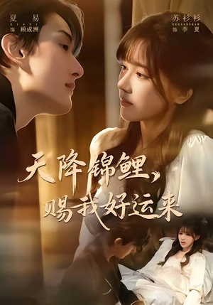 天降锦鲤，赐我好运来（60集）热播短剧追不停