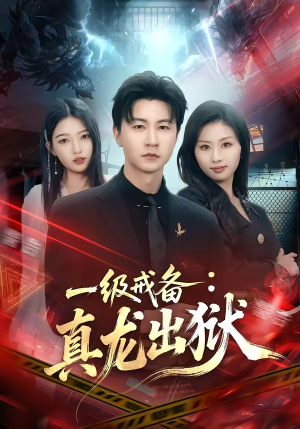 一级戒备：真龙出狱（73集）第一集