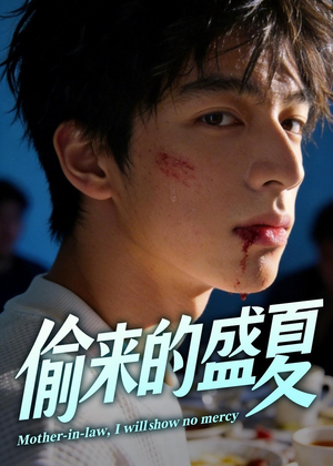 偷来的盛夏（40集）看到了大结局