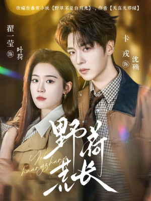 野荷荒长（86集）短剧排行榜