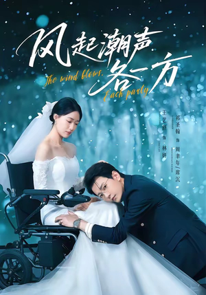 风起潮声各一方（84集）短剧热门分享