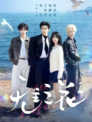 无主之花1（72集）短剧全集免费