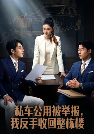 私车公用被举报，我反手收回整栋楼（71集）百度网盘资源