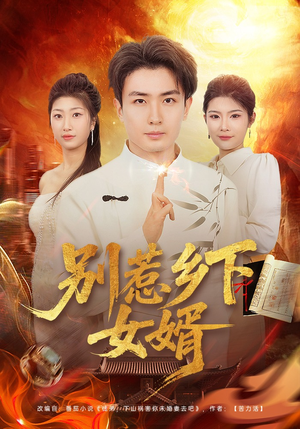别惹乡下女婿（80集）我全都看完了