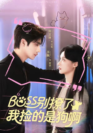 Boss别撩了,我捡的是狗呀(65集) Boss别撩了,我捡的是狗呀(65集)短剧每日分享