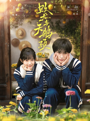败犬与天鹅颈（71集）百度在线观看