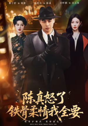 陈真怒了铁骨柔情我全要（74集）免费观看完整版