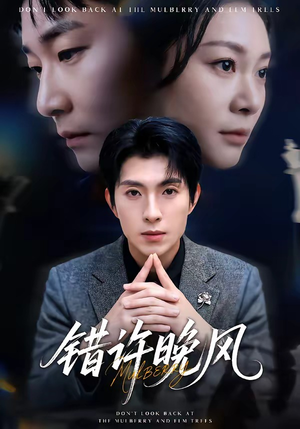 错许晚风(60集) 错许晚风(60集)短剧完整版免费