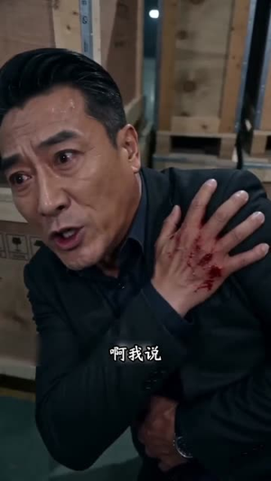父辱子归（20集）精彩短剧随心推