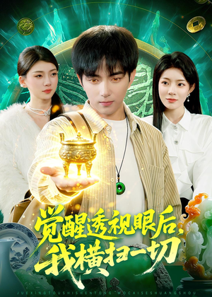 觉醒透视眼后,我横扫一切(81集) 觉醒透视眼后,我横扫一切(81集)免费短剧大全