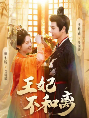 王妃不和离(80集) 王妃不和离(80集)口碑之选免费看