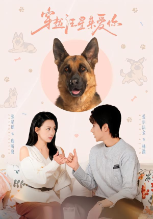 穿越汪星来爱你(62集) 穿越汪星来爱你(62集)短剧免费分享