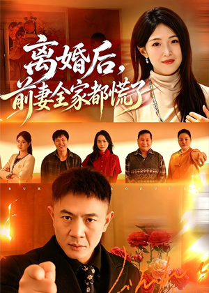 离婚后,前妻全家都慌了(52集) 离婚后,前妻全家都慌了(52集)观看软件