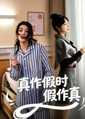 真作假时假作真(60集) 真作假时假作真(60集)零花钱看整部剧