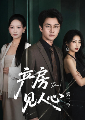 产房见人心第二季（75集）精彩连连免费看