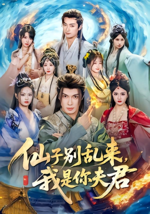 仙子别乱来，我是你夫君（75集）剧情简介