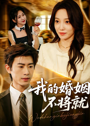我的婚姻不将就(30集) 我的婚姻不将就(30集)热播短剧分享