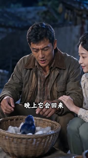重生七零:青山猎王(55集) 重生七零:青山猎王(55集)看到大结局