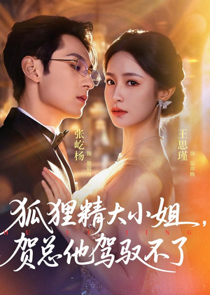 狐狸精大小姐，贺总他驾驭不了（74集）经典老剧免费看