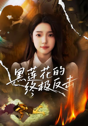 黑莲花的终极反击(60集) 黑莲花的终极反击(60集)真的好看吗