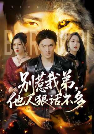别惹我弟,他人狠话不多(40集) 别惹我弟,他人狠话不多(40集)高清无码免费看