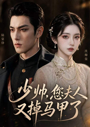 少帅,您夫人又掉马甲了(41集) 少帅,您夫人又掉马甲了(41集)排行榜前十短剧