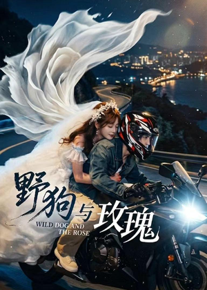 野狗与玫瑰（30集）真的太好看了