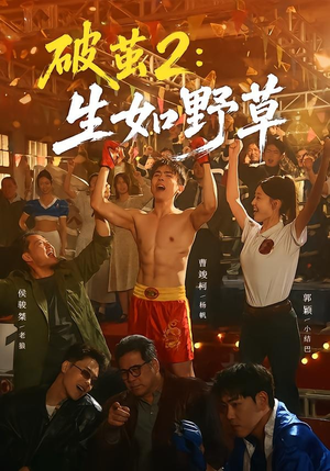 破茧2：生如野草（55集）经典老剧免费看