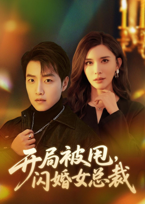 开局被甩,闪婚女总裁(80集) 开局被甩,闪婚女总裁(80集)在线免费观看
