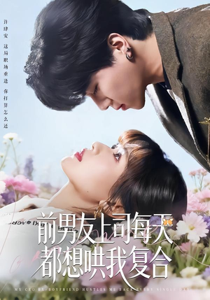 前男友上司每天都想哄我复合（77集）好看短剧分享