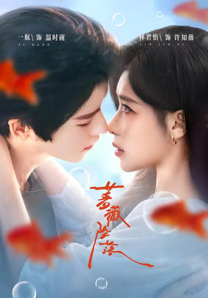 蔷薇坠落（94集）一共多少集